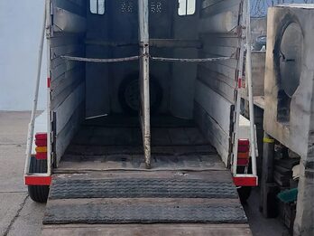 Trailer para caballo
