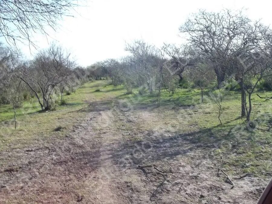 En venta 235has de campo - zona Las Tunas - Entre Ríos
