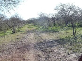 En venta 235has de campo - zona Las Tunas - Entre Ríos