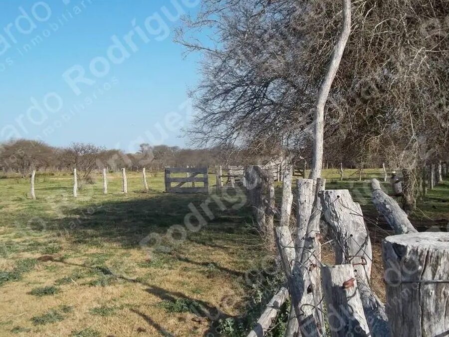 En venta 235has de campo - zona Las Tunas - Entre Ríos
