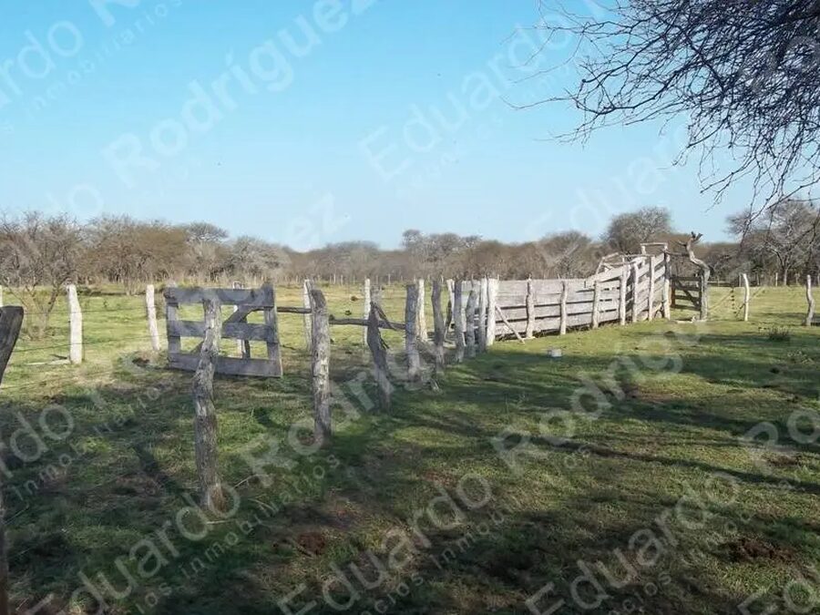 En venta 235has de campo - zona Las Tunas - Entre Ríos