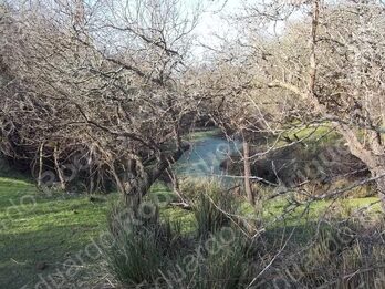 En venta 235has de campo - zona Las Tunas - Entre Ríos