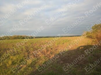 En venta excelente lote – Acceso Norte
