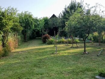 VENDE CABAÑA EN ALVEAR ZONA PLAZA PRINCIPAL