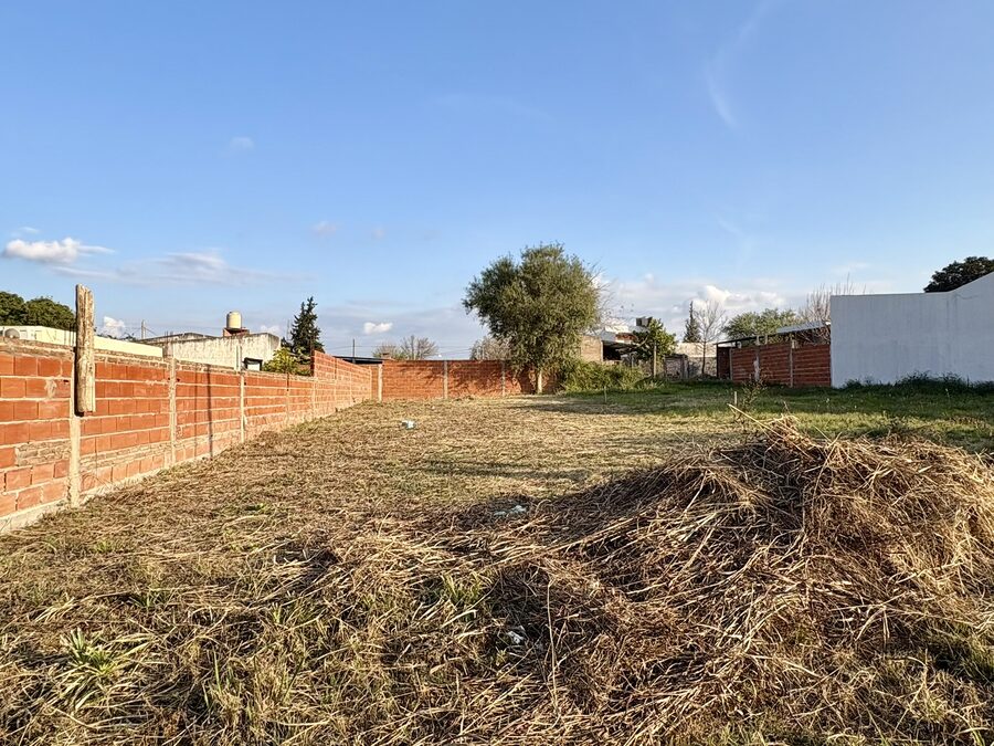 Vendo terreno en San Benito