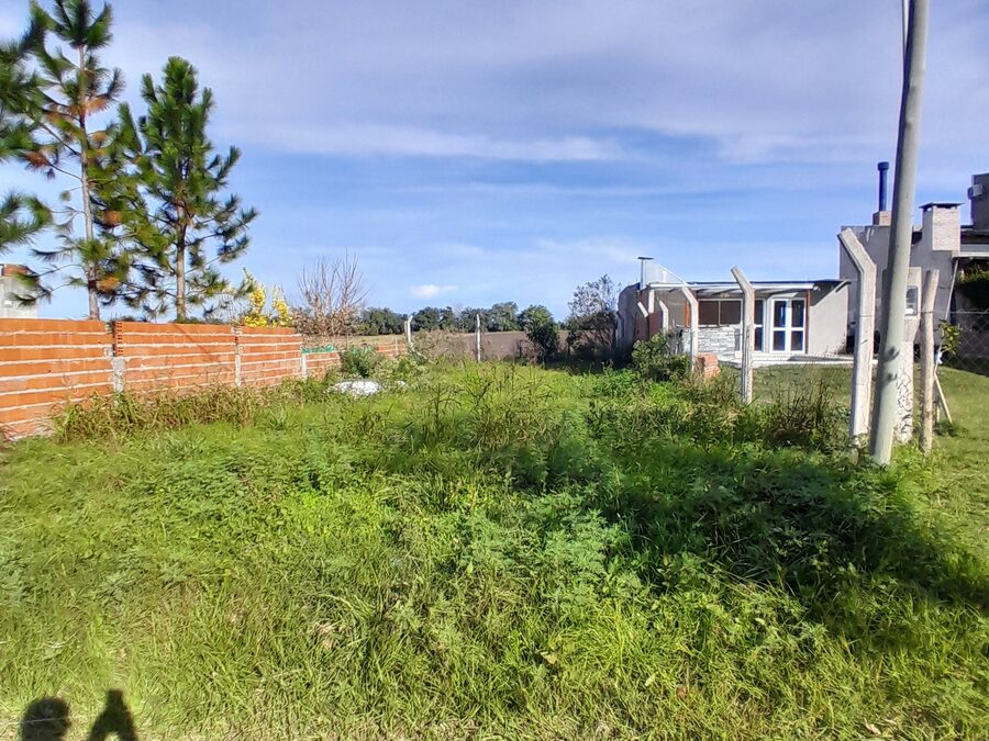 VENDEMOS TERRENO EN SAUCE MONTRULL Calle Marega
