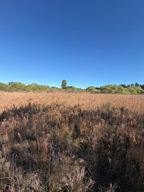 VENDO AMPLIO TERRENO EN ZONA BO. LOS LAPACHOS