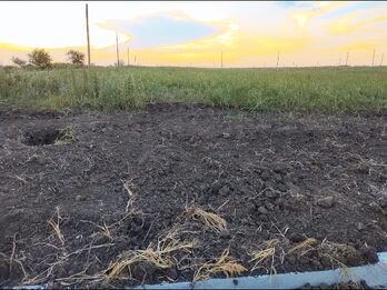 Vendo terreno en oro verde