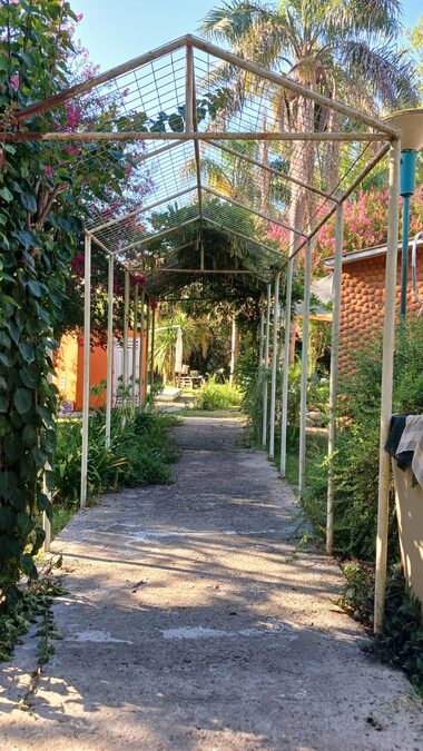 🌿 Casa Quinta en Venta - 2400 m2 de pura naturaleza, Sauce Montrull.