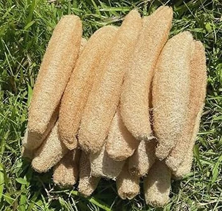 Venta de esponjas