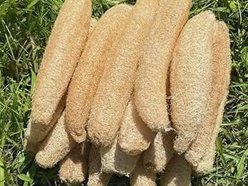 Venta de esponjas