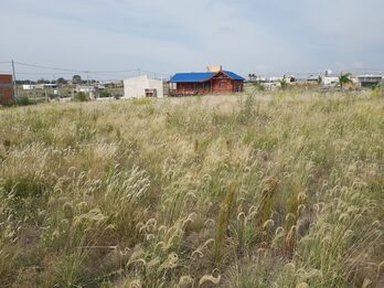 Lote en Colonia Ensayo loteo Tierra Alta I escriturado