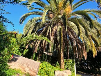 Quinta en paraje la Virgen Aldea Brasilera