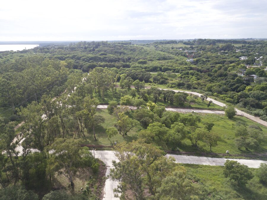 Lotes De +450m2 Con Todos Los Servicios En Urbanización Terrazas | Viví La Naturaleza