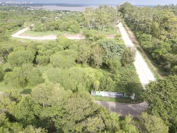 Lotes De +450m2 Con Todos Los Servicios En Urbanización Terrazas | Viví La Naturaleza