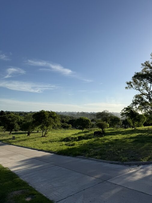 Lotes De +450m2 Con Todos Los Servicios En Urbanización Terrazas | Viví La Naturaleza