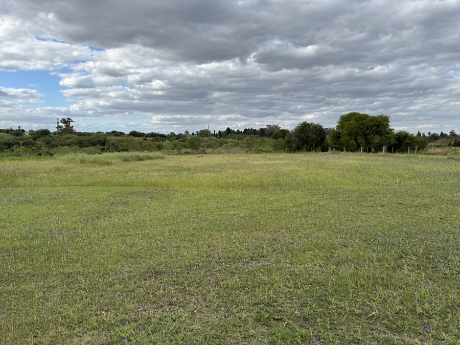 VENTA TERRENO EN PARANÁ 2500 m² - IDEAL INVERSIÓN O PROYECTO