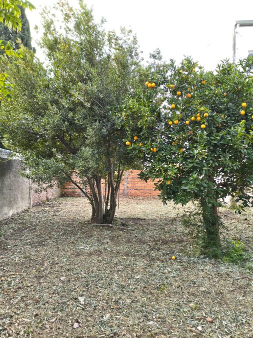 🏚️ VENTA de TERRENO C/CASA A DEMOLER - EL TALAR, PARANÁ 🪴