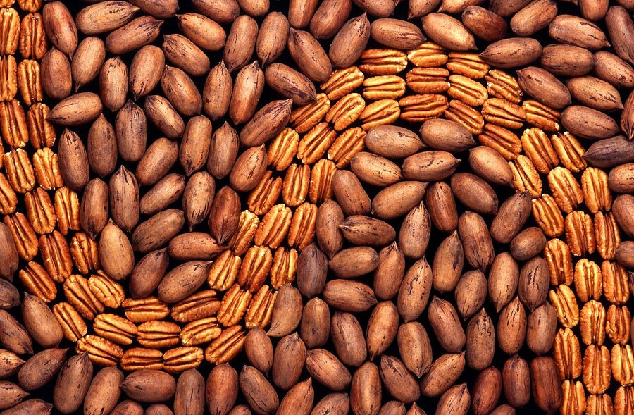 Nuez pecan pelada mariposa