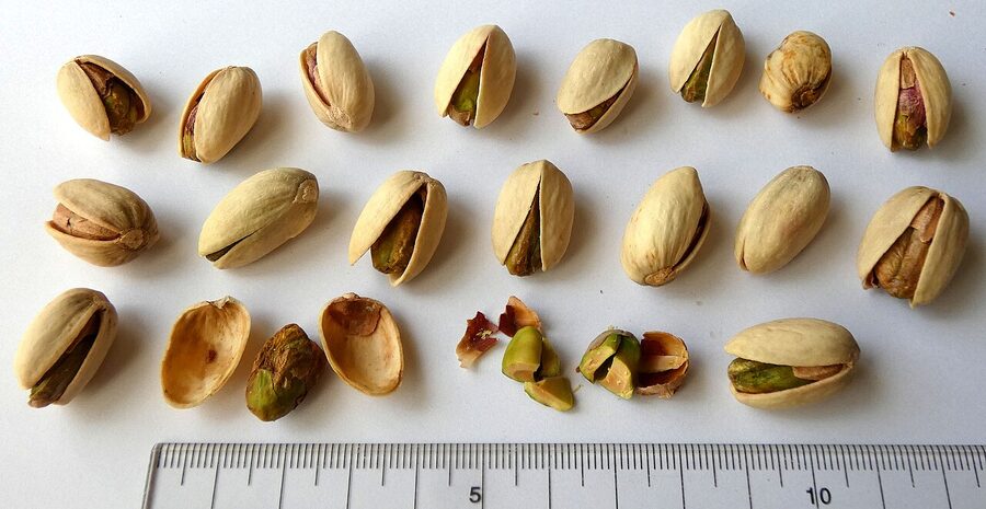 Pistacho con cáscara tostado y salado