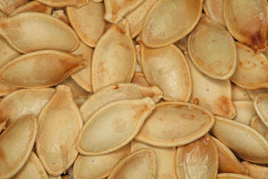 Semillas de zapallo
