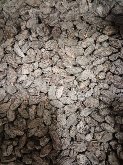 Pasas de uva sin semilla negras