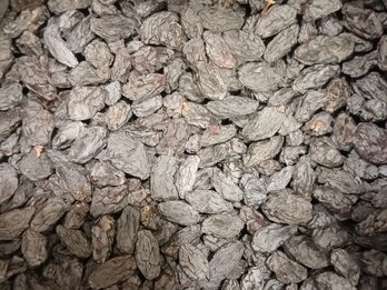 Pasas de uva sin semilla negras