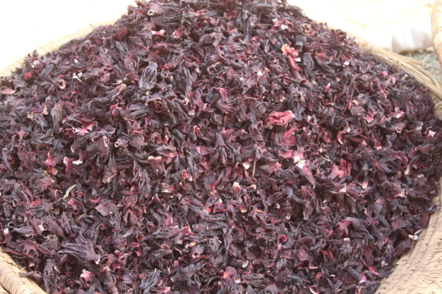 Hibiscus (flor de Jamaica)