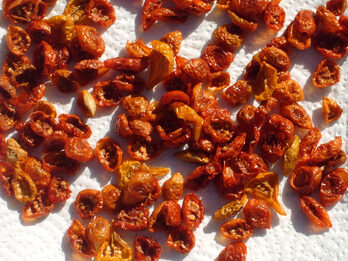 Tomate deshidratado