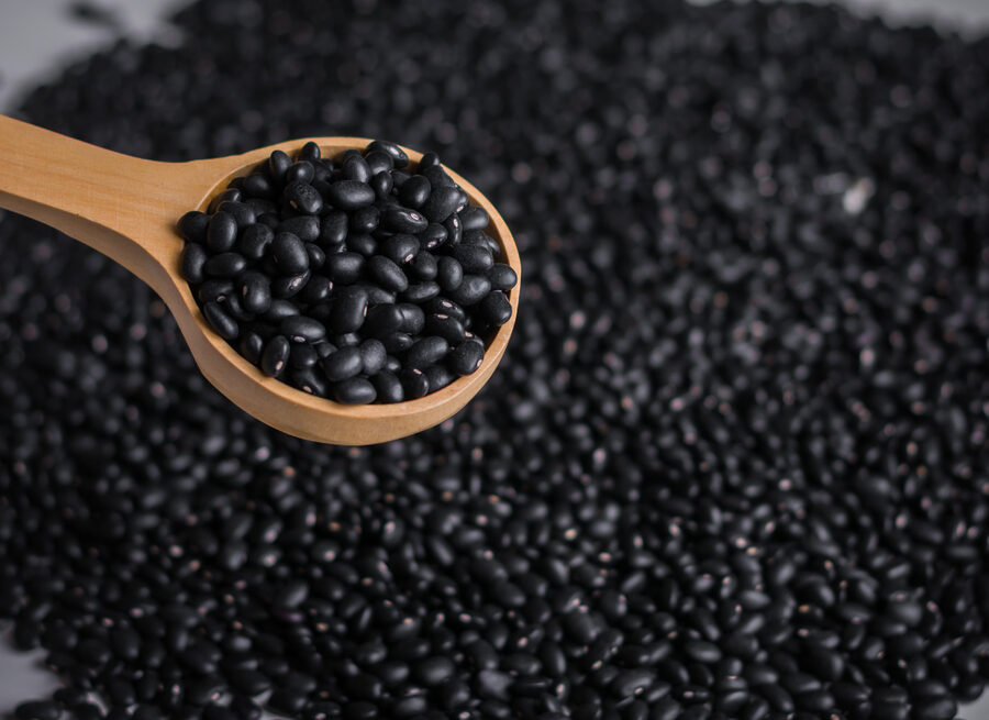 Poroto negro