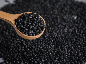 Poroto negro