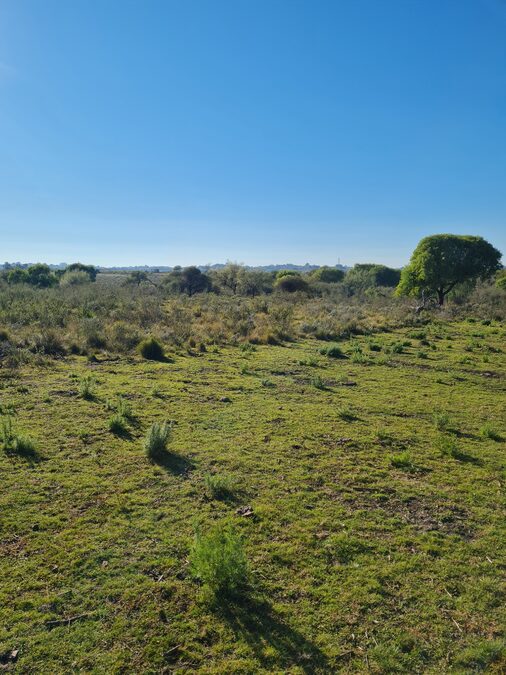 Campo en venta de 13,65 Ha