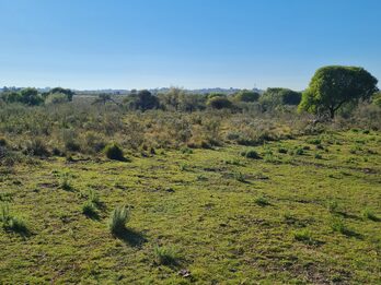 Campo en venta de 13,65 Ha
