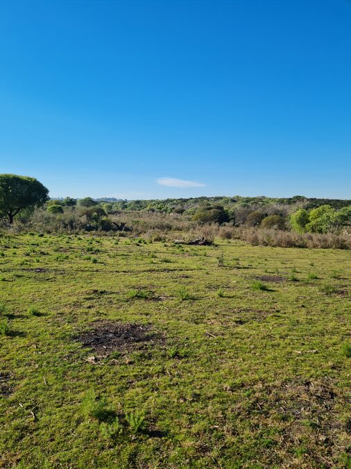 Campo en venta de 13,65 Ha