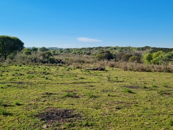 Campo en venta de 13,65 Ha