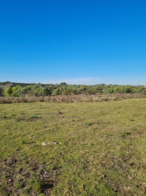 Campo en venta de 13,65 Ha