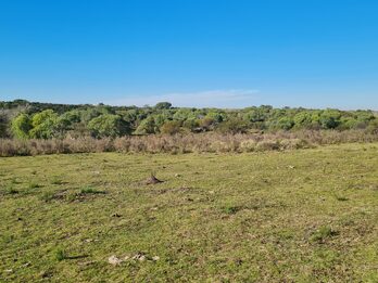 Campo en venta de 13,65 Ha