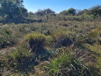 Campo en venta de 13,65 Ha
