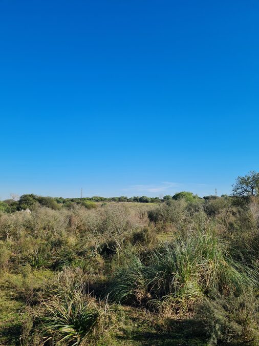Campo en venta de 13,65 Ha