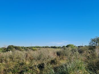Campo en venta de 13,65 Ha