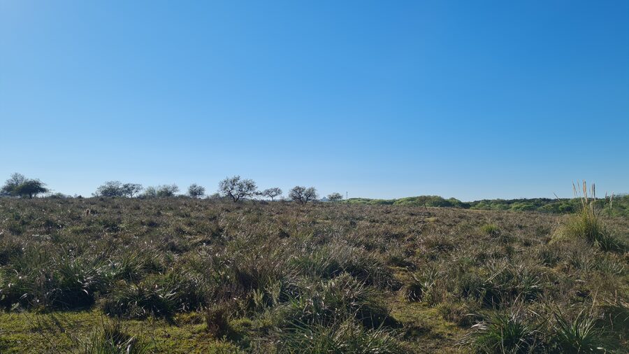 Campo en venta de 13,65 Ha