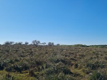 Campo en venta de 13,65 Ha