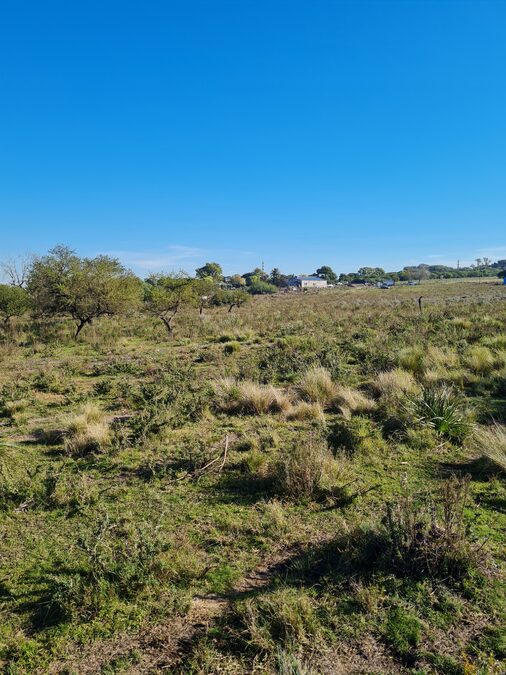 Campo en venta de 13,65 Ha