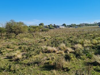 Campo en venta de 13,65 Ha