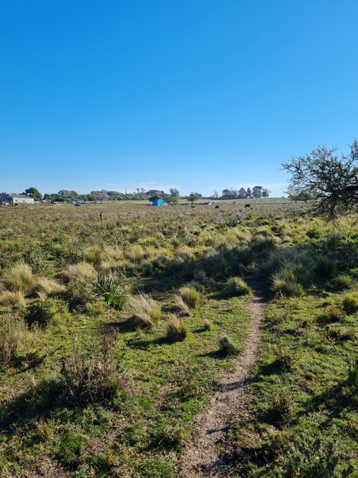 Campo en venta de 13,65 Ha