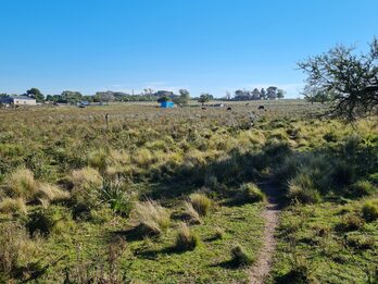 Campo en venta de 13,65 Ha
