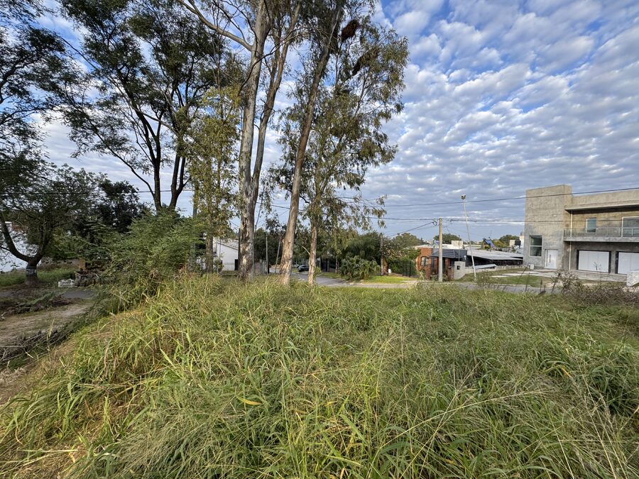 LOTE 550 m² PARA CONSTRUIR ZONA PLANTA PURIFICADORA