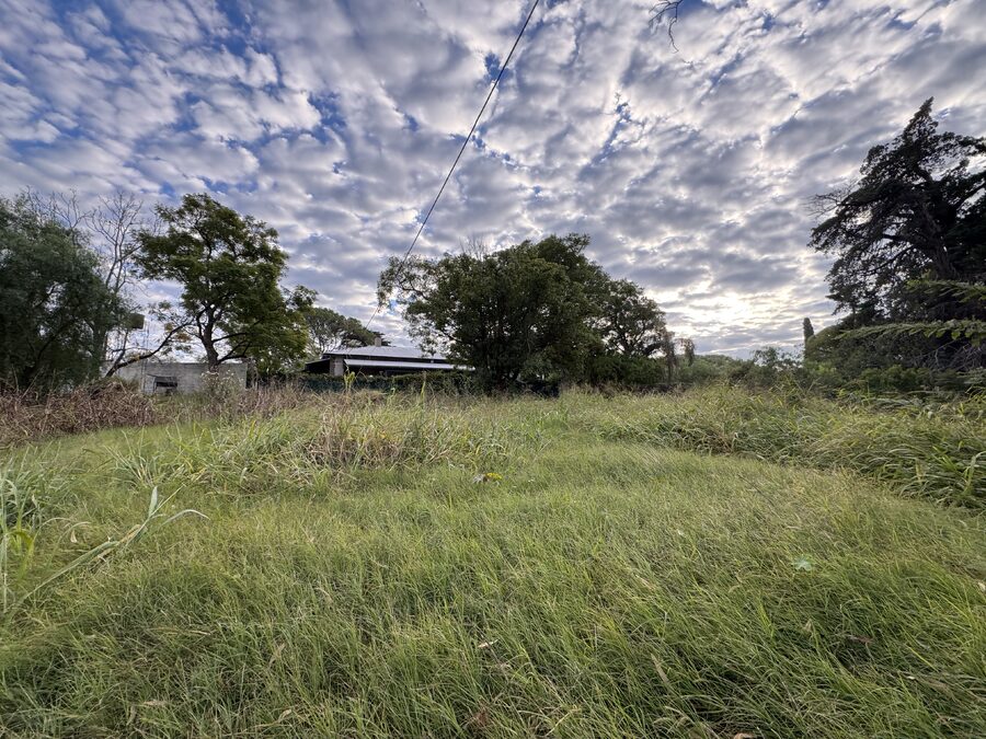 LOTE 550 m² PARA CONSTRUIR ZONA PLANTA PURIFICADORA