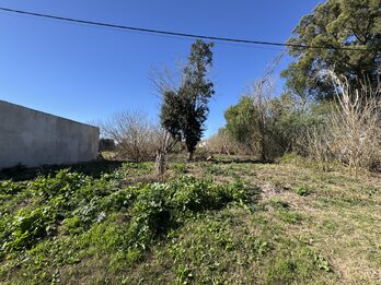 LOTE DE 450 m² EN COLONIA ENSAYO | LISTO PARA ESCRITURAR