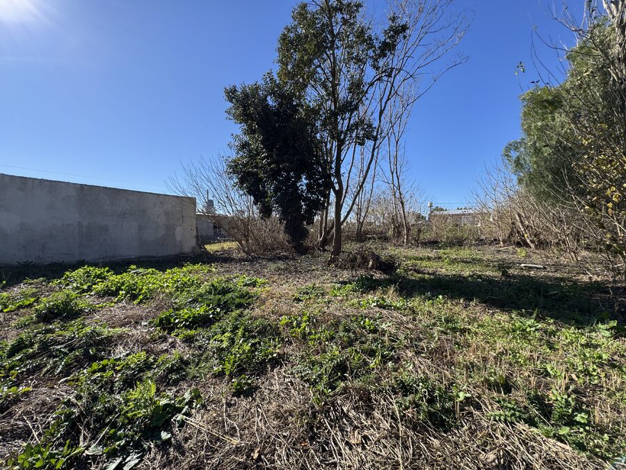 LOTE DE 450 m² EN COLONIA ENSAYO | LISTO PARA ESCRITURAR